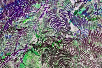 N 107A